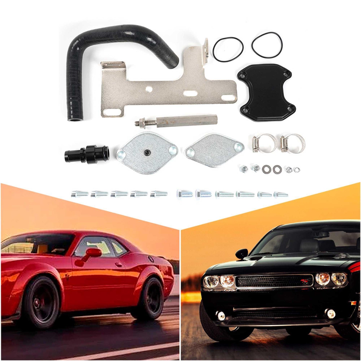 RASTP EGR Valve Cooler Delete Kit for Dodge 10-14 - RASTP